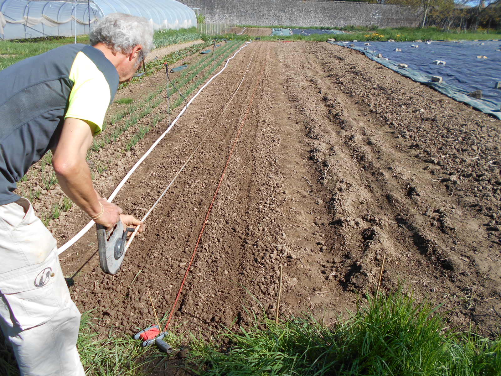 Semer, planter, ce n'est pas fini !